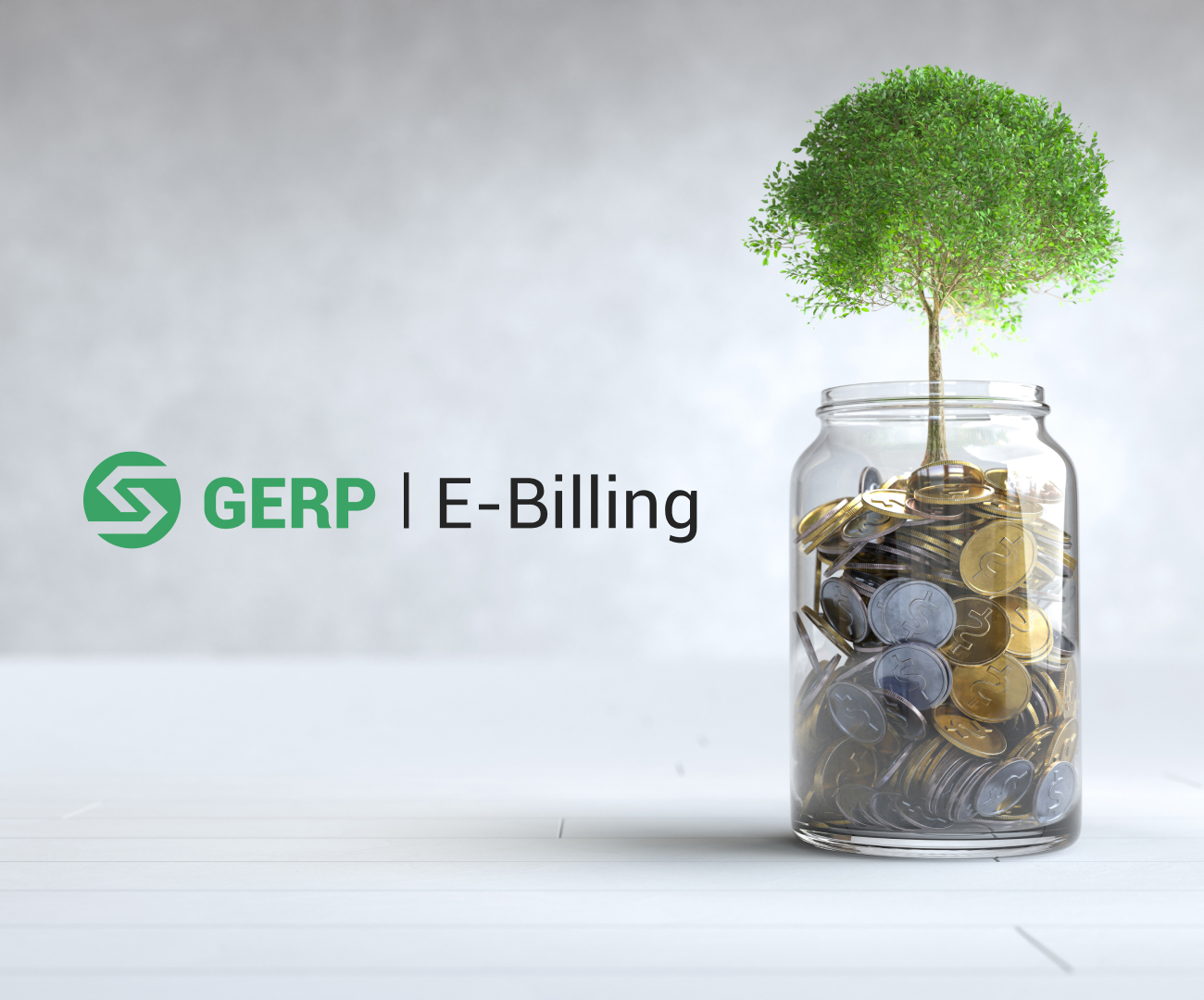 ERP Aurora